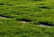 Flat markers support the pastoral ambiance